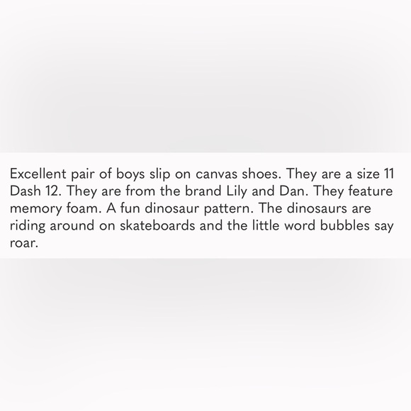 Lily & Dan Boys' Memory Foam Canvas Shoes Dinosaur Print 🦖 (Gift with Purchase) - Picture 2 of 9